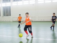 IMG_9534